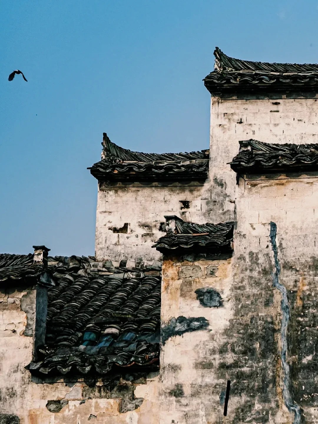 🌿 闯入水墨画里的春天 🏮_4_晓枫_宏村西递-古镇-来自52tours 我爱旅游网